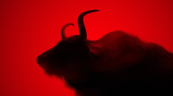 Source: BLACKYAK The Yak is a brand symbol and inspiration at the same time.